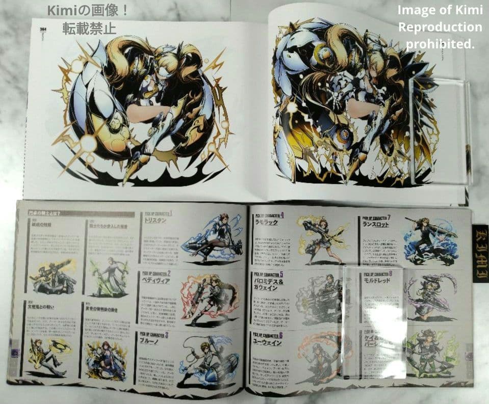 ディバインゲート OFFICIAL ART WORKS 本 2015 初版 画集