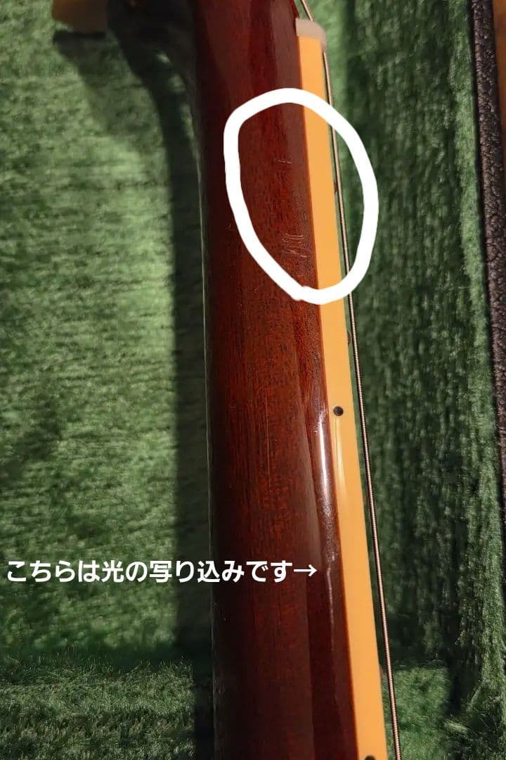 良品 TOKAI HLS145 ショップオーダー品 レスポール 希少指板材