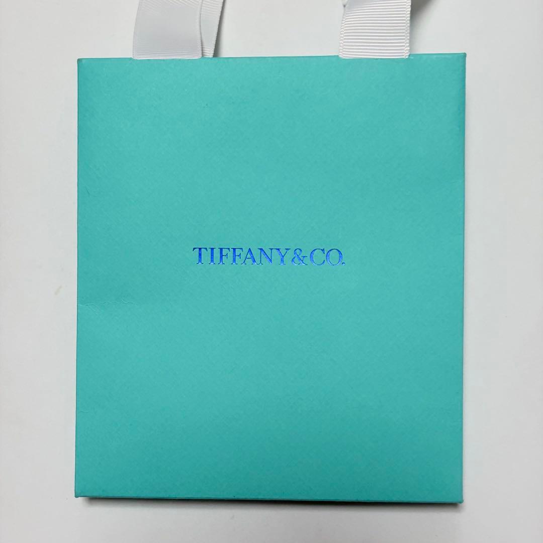 極美品　現行品　ティファニー　限定品　リングケース　空箱　ラブ　LOVE　最新