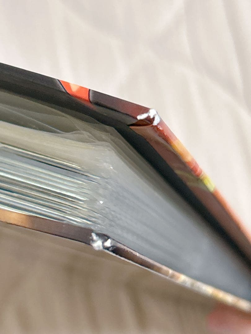 ポケモンカード ファイル ルギア ホウオウ カード 237枚 まとめ売り