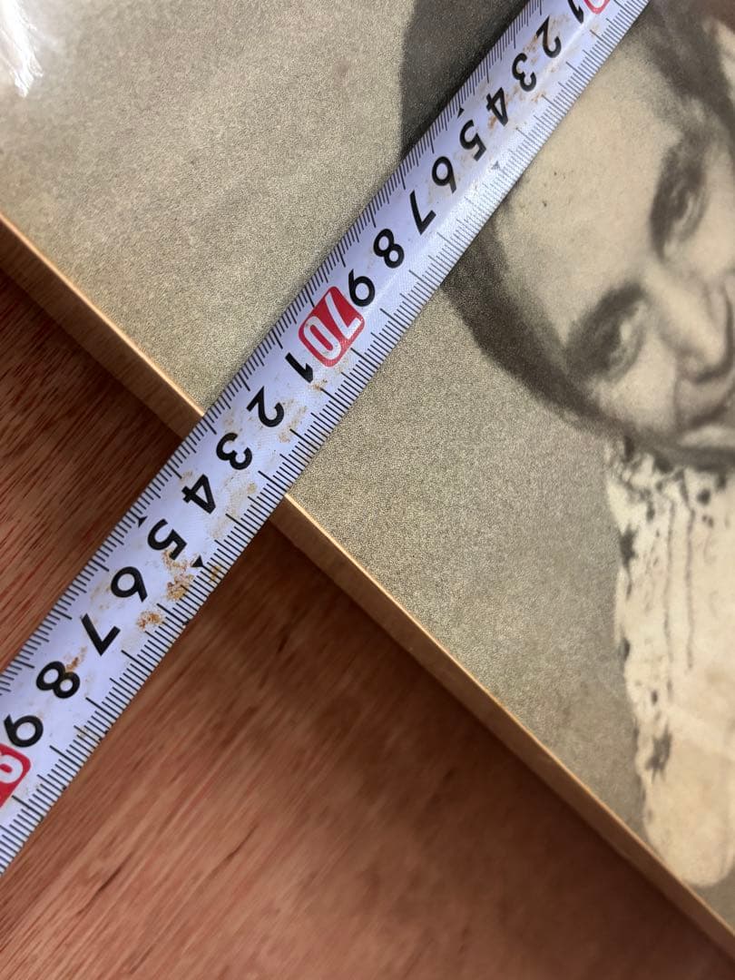 ROLLING STONES SomeGirls ポスター　ローリングストーンズ