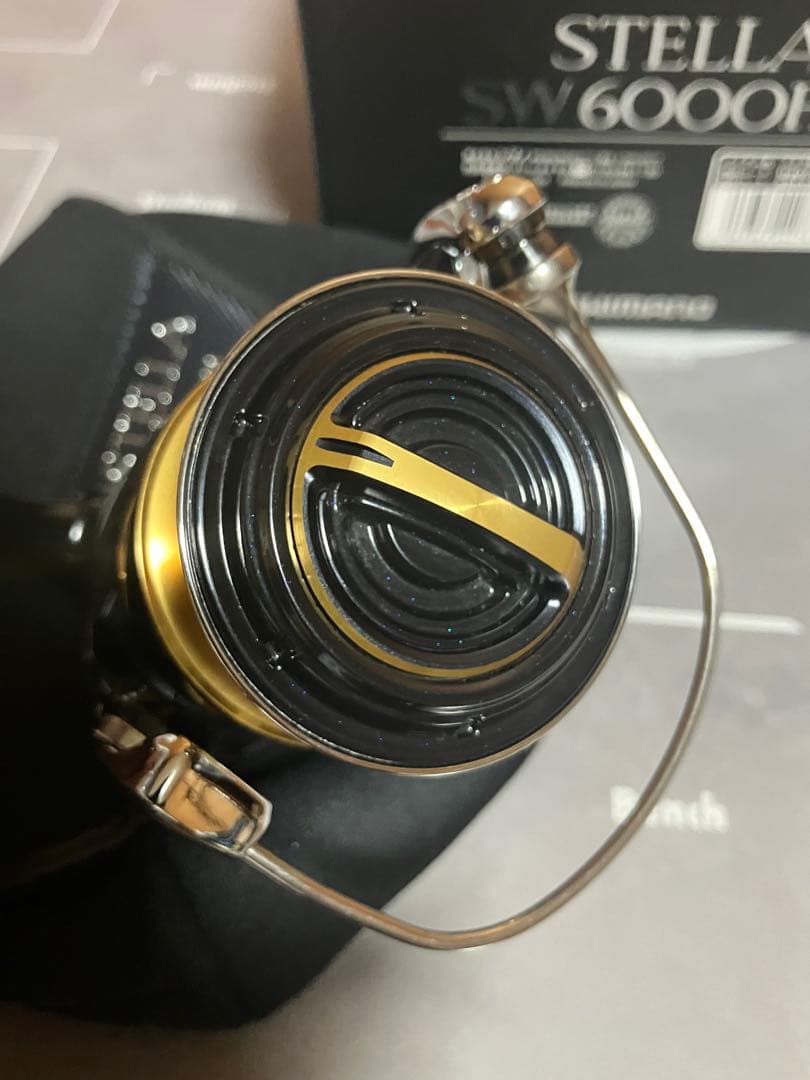 リール SHIMANO 20STELLA SW6000HG