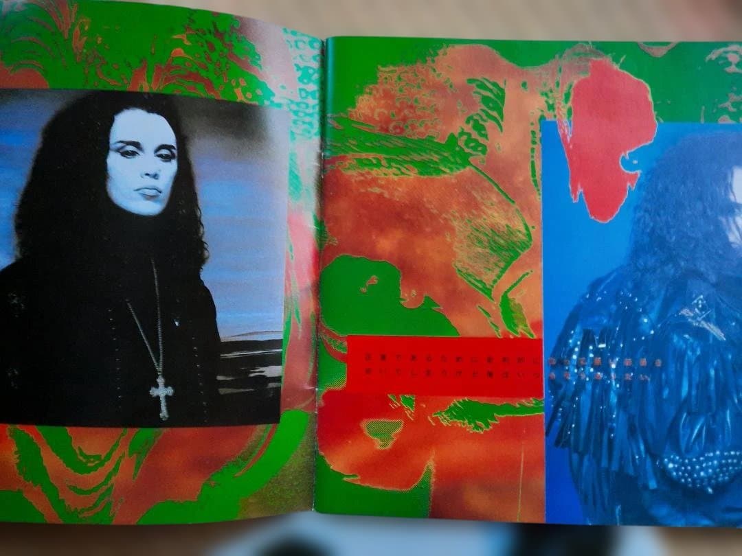 レア　デッドオアアライヴ　1987 Rip It Upツアーパンフ