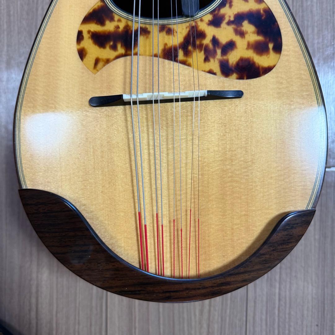 【美品】宮野マンドリン　M-1 ローズウッドボディ　 マンドリンケース　弦付き