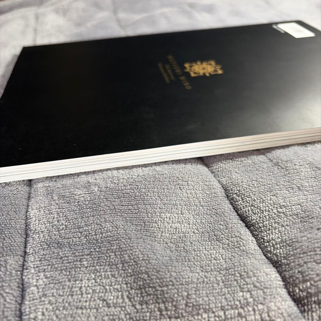 ヴァンパイア騎士原画展 公式ビジュアルブック イラスト集 樋野まつり