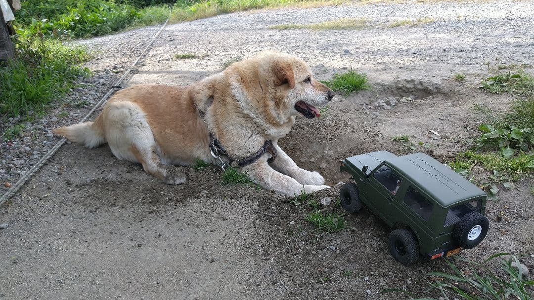 WPLC74ジムニー中古の製作