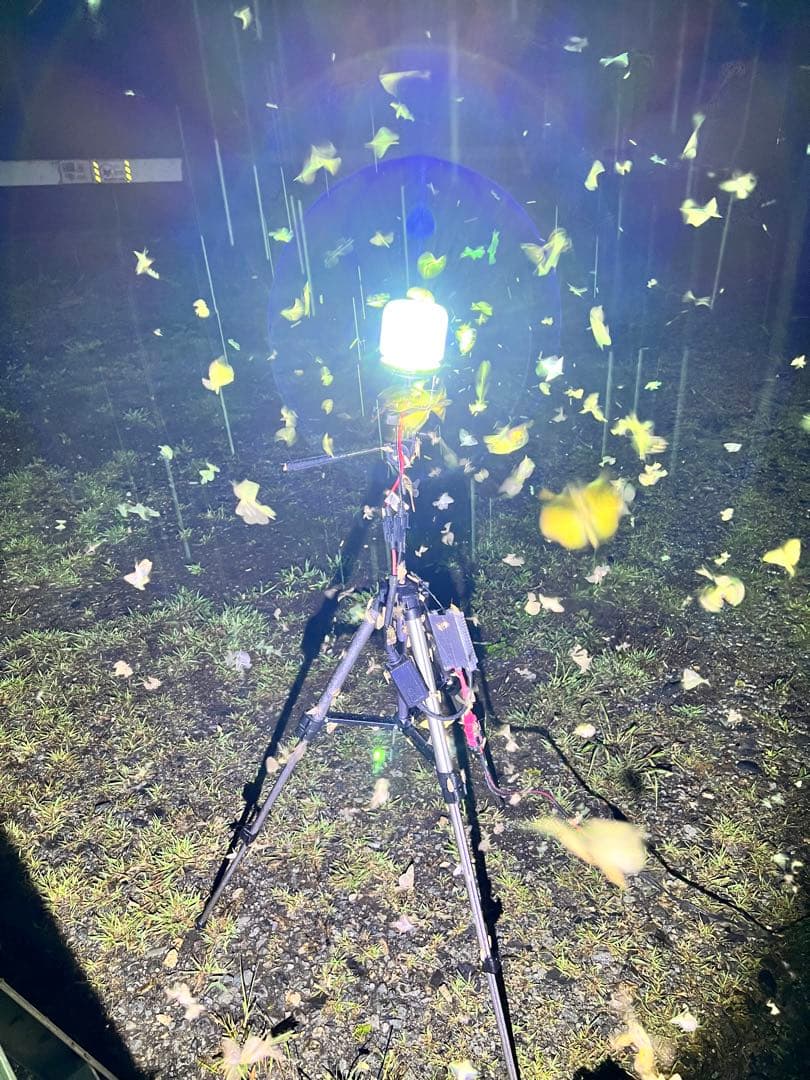 灯火採集　三脚型　ライトトラップ　HID55w 紫外線放出加工済