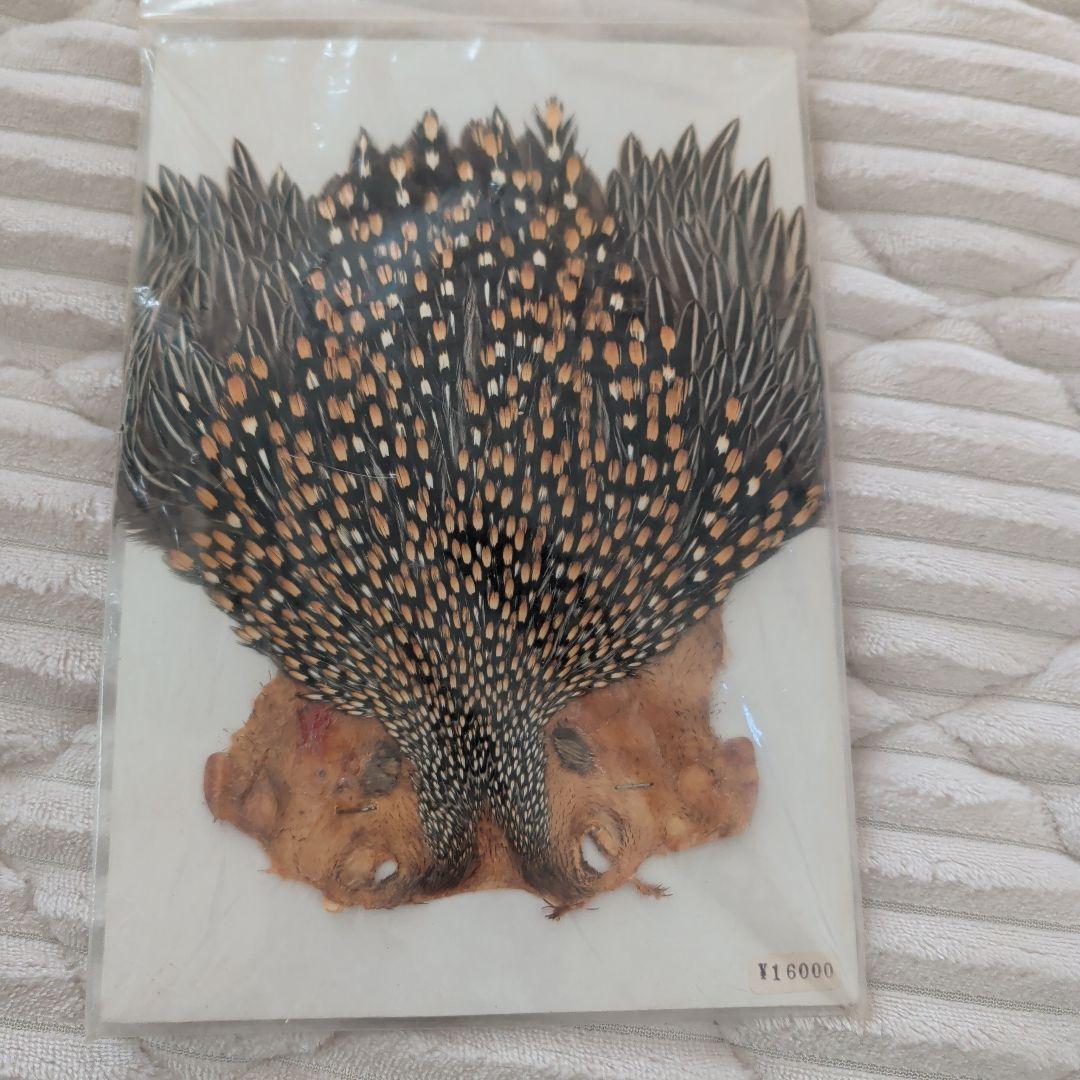 フライフィッシング用羽根素材