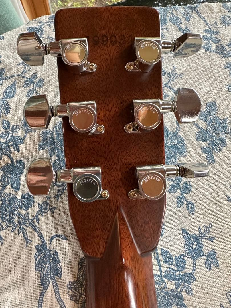 値下げ！極上品！Morris TF-801 アコースティックギター