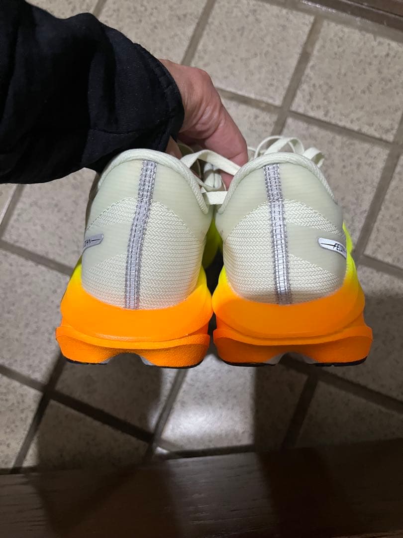 リーニン FEIDIAN5 CHALLENGER メンズ24.5cm US7