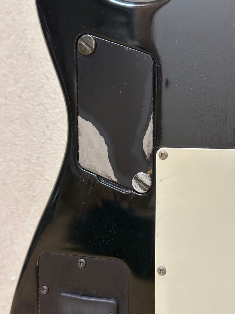 ギター CASIO PG-300