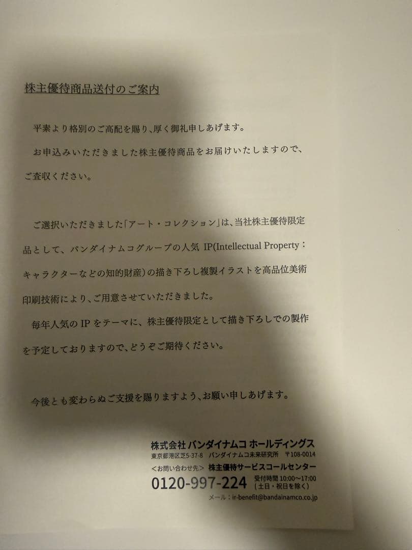 バンダイナムコ株主優待アムロ・レイ　機動戦士ガンダム 非売品新品
