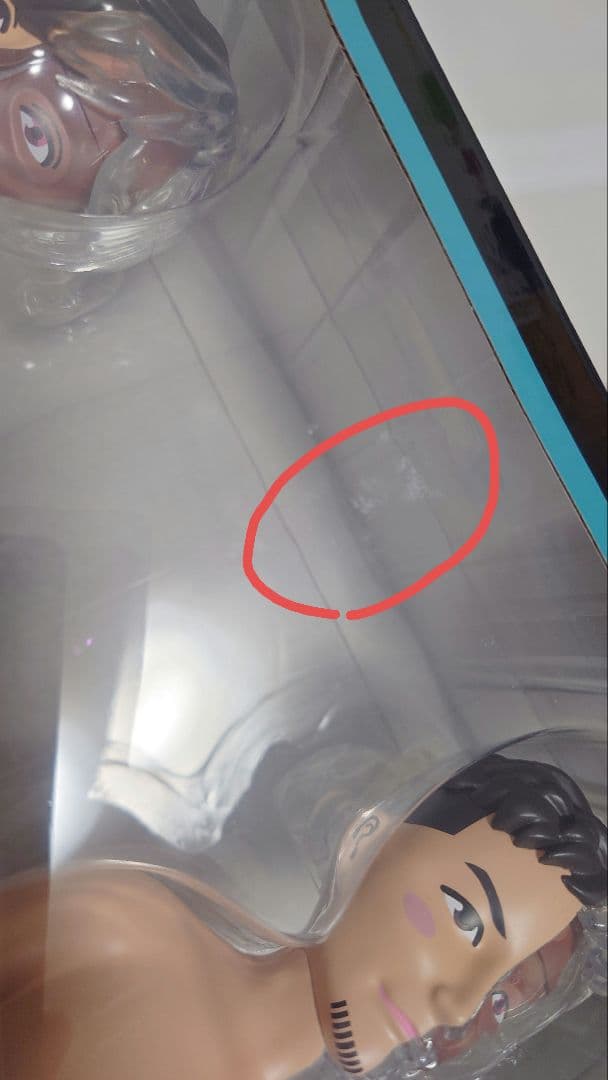 ポルノグラフィティ 人体模型