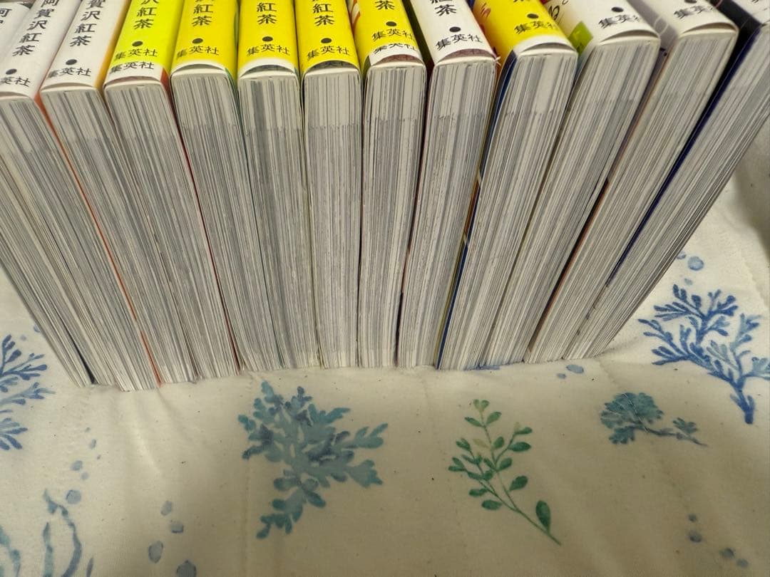 最初より1万値下げ 氷の城壁 13巻まで これ以上値下げなし