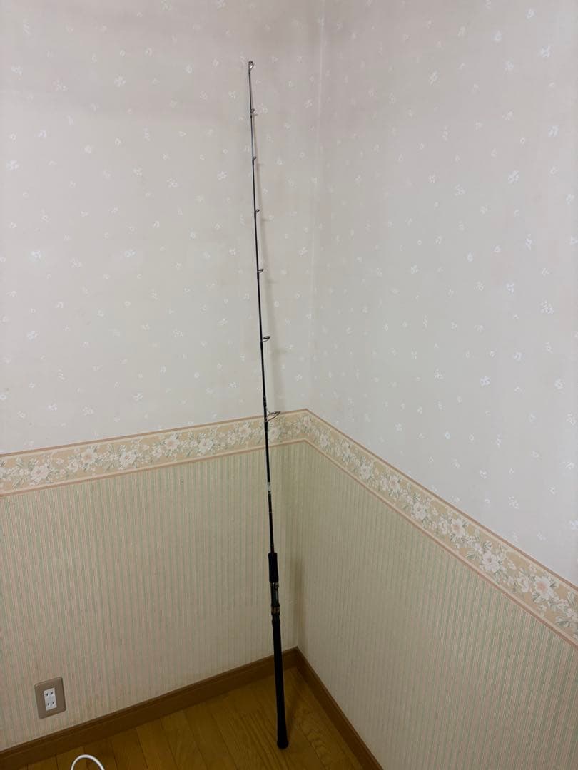 天龍 ジグザム ワイルドマーク JWM611Sー2/4