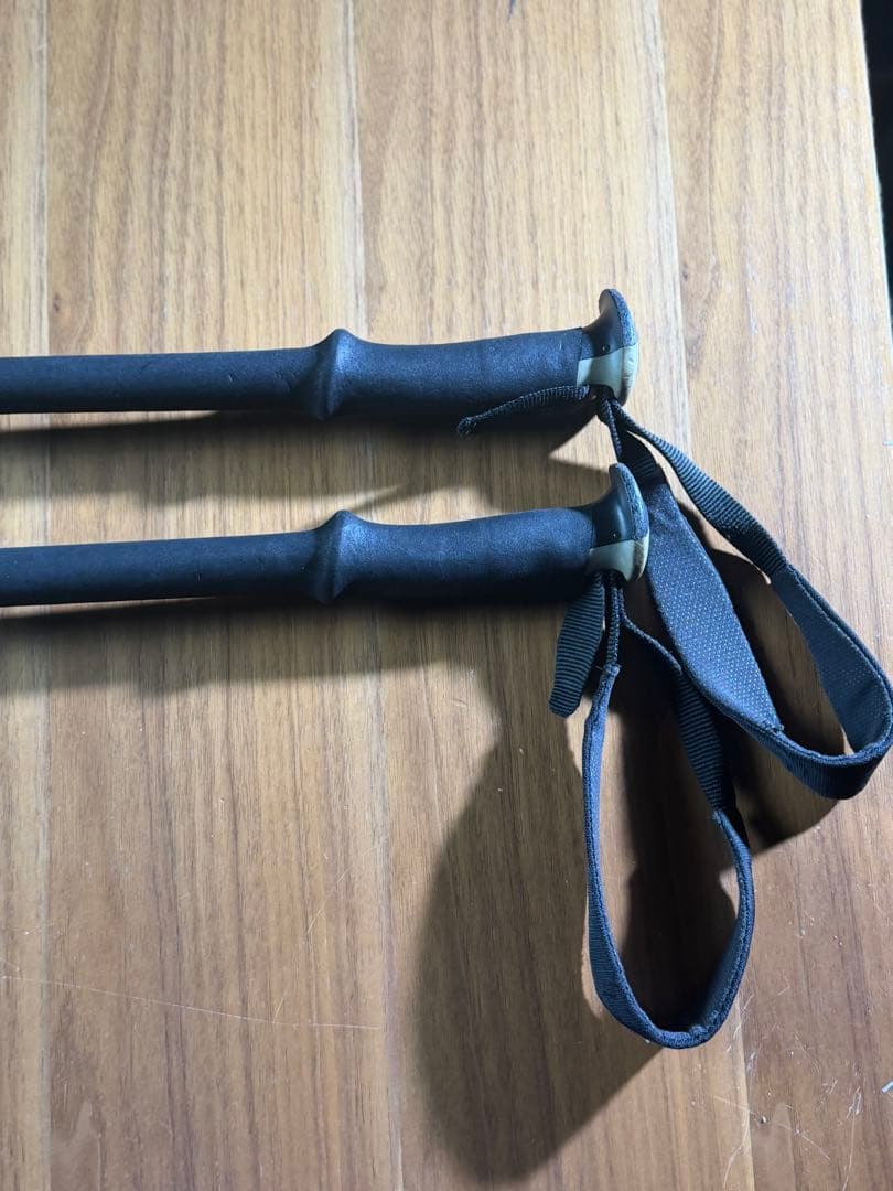  伸縮式スキーストック ポール Expedition3