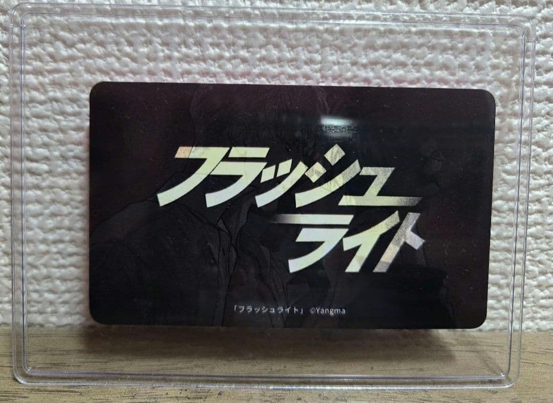 バラ売り可 J庭58 BeLTOON Backlight フラッシュライト 愛欲