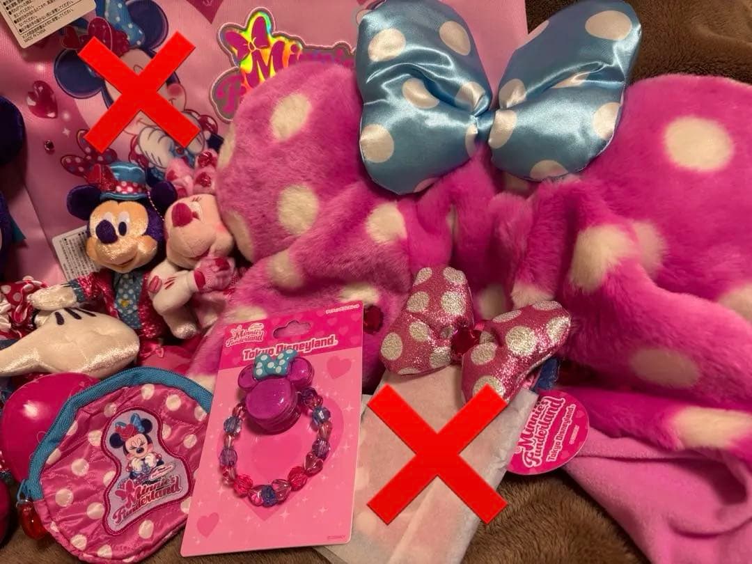 【バラ可】ディズニー ミニー ファンダーランド パルパルーザ2026 豪華セット