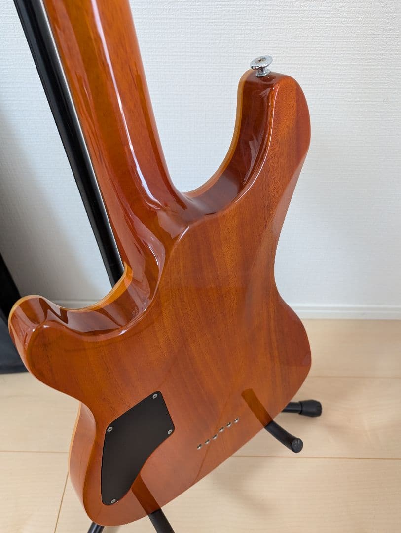 【美品・動作良好】SCHECTER RJ-1-24-TOM AMB　シェクター