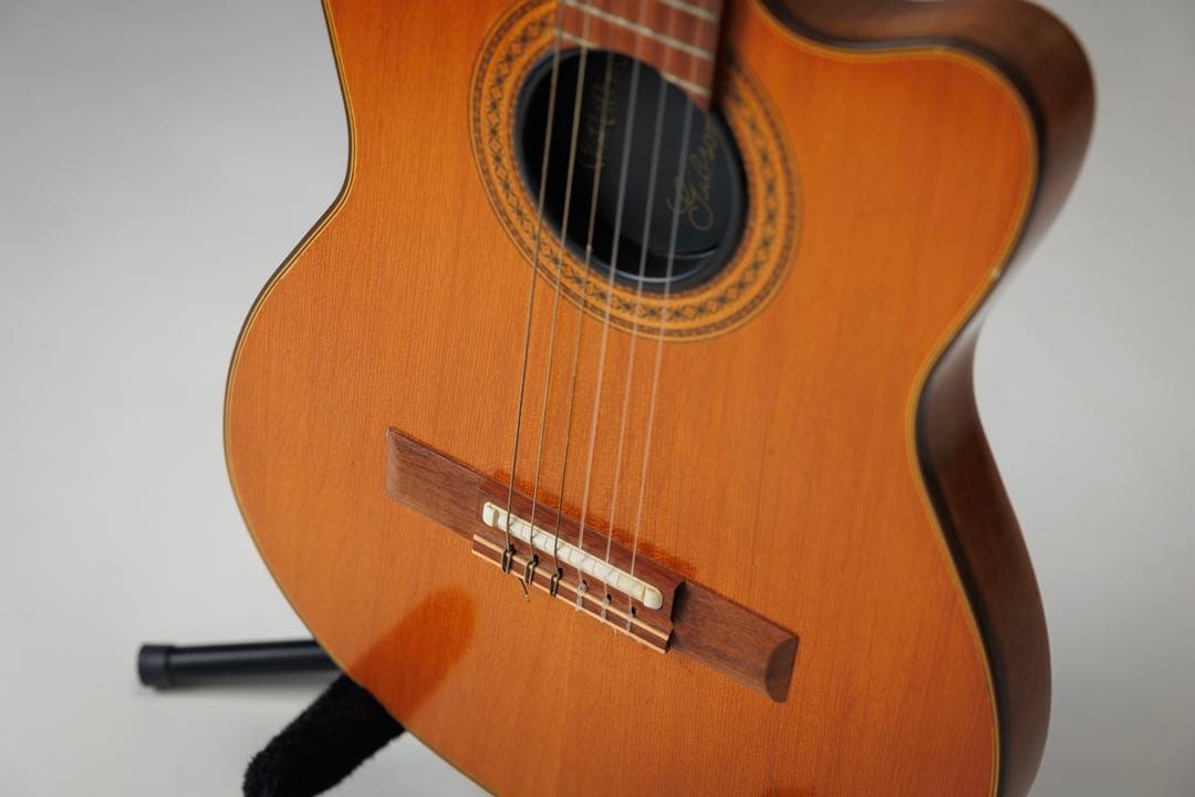 ギター Gibson Chet Atkins CE