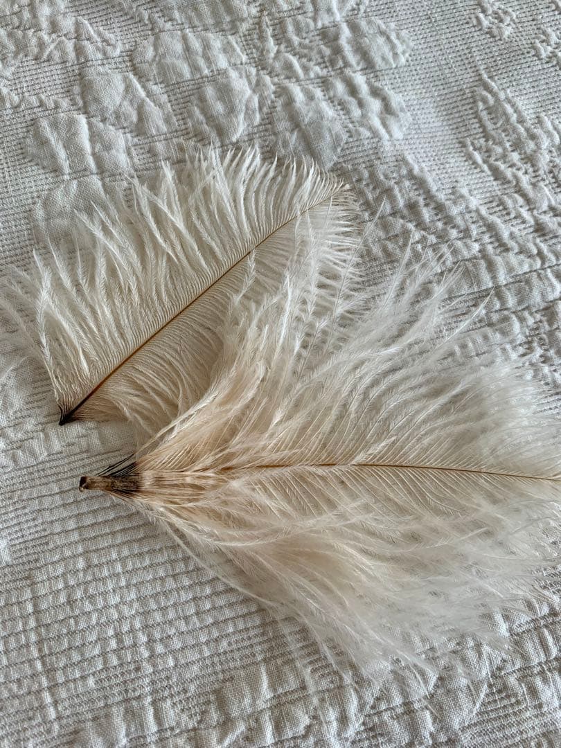 フランスビンテージ/アンティークパニエ＆スノーベビー＆Hertwigビスクドール