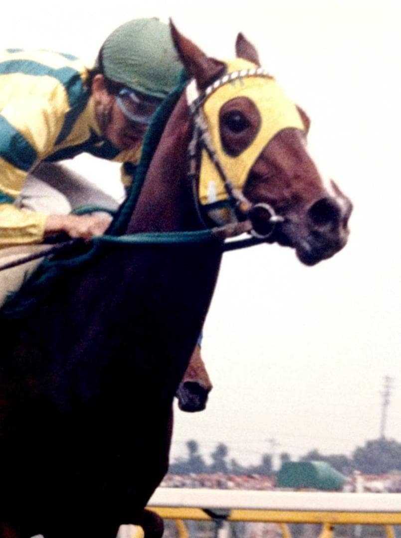 競馬パネル：マックスビューティ「1987年第48回優駿牝馬」