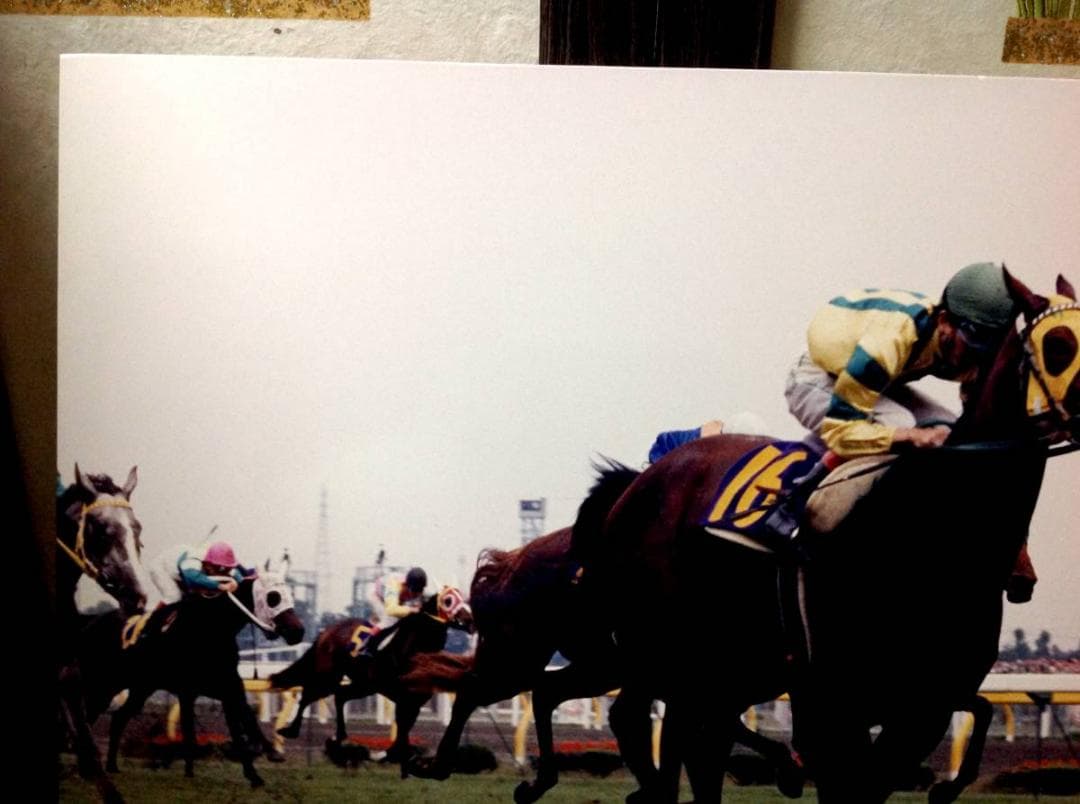 競馬パネル：マックスビューティ「1987年第48回優駿牝馬」