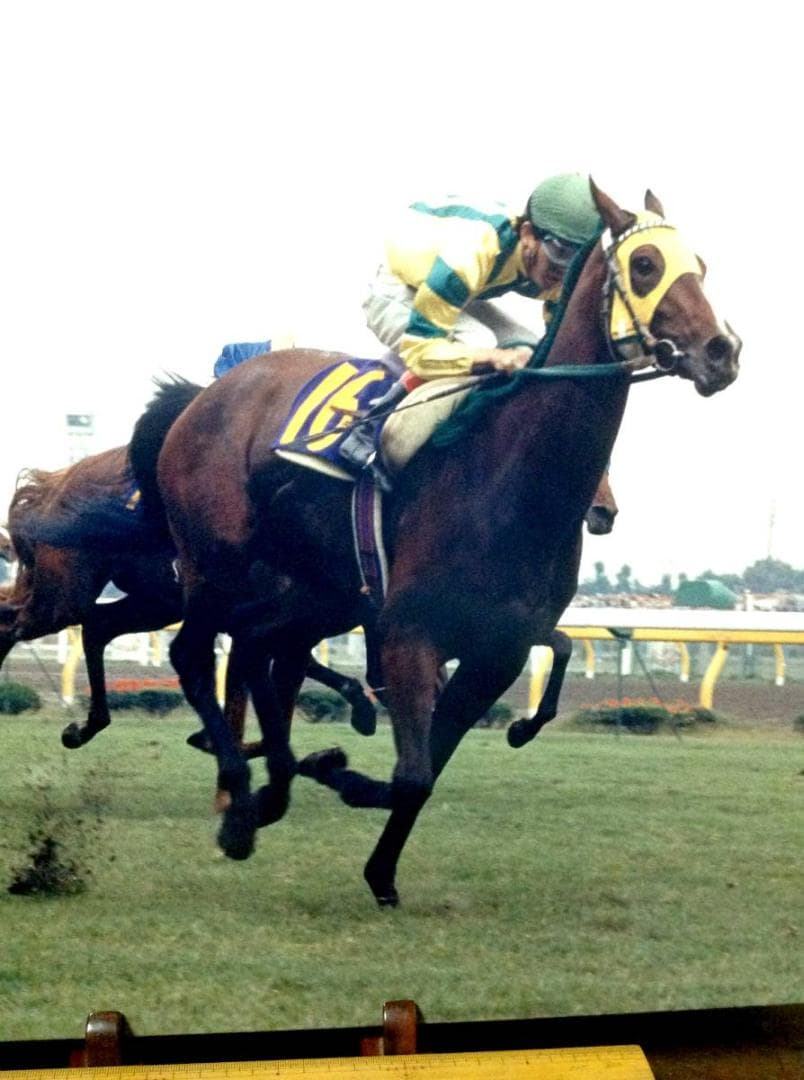 競馬パネル：マックスビューティ「1987年第48回優駿牝馬」