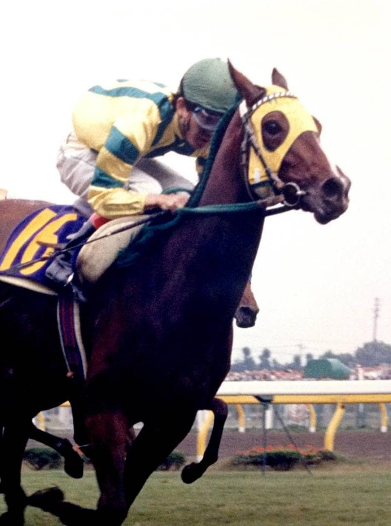 競馬パネル：マックスビューティ「1987年第48回優駿牝馬」