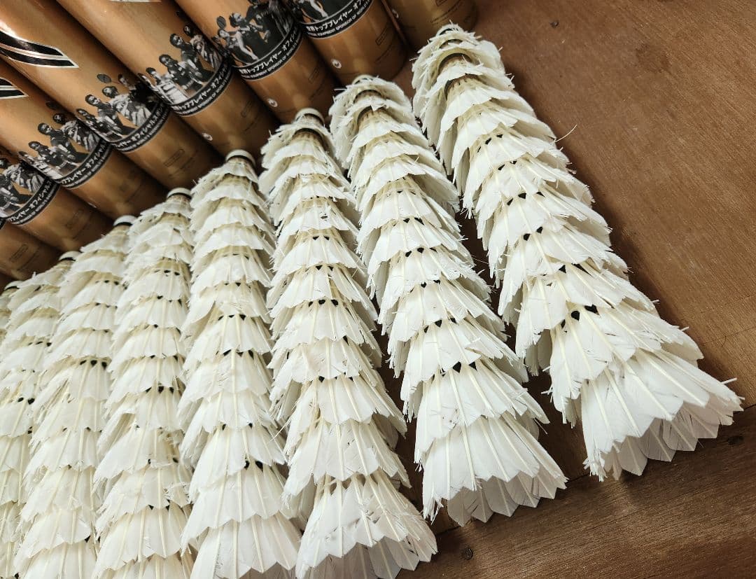 【第1種検定球】リーニン FA+500 中古シャトル 120球（10ダース）