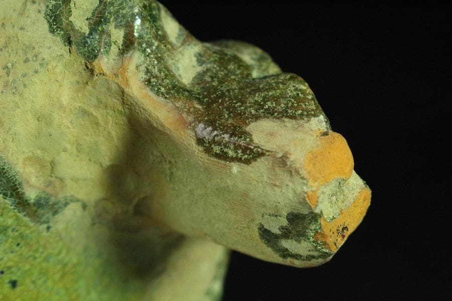 中国美術 緑釉 菌 後漢 時代物(K-A357)