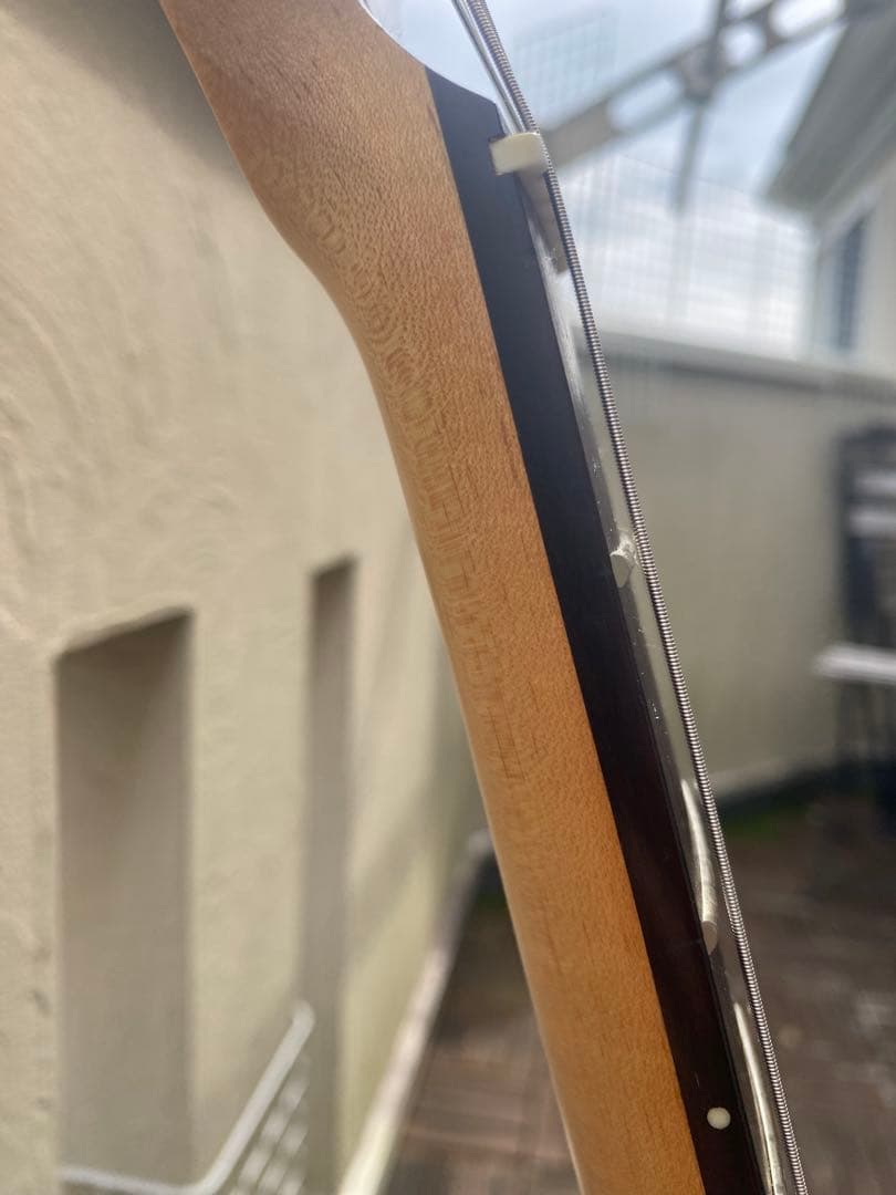 GYPSY ROSE (ジプニーローズ/ストラトキャスター タイプ)