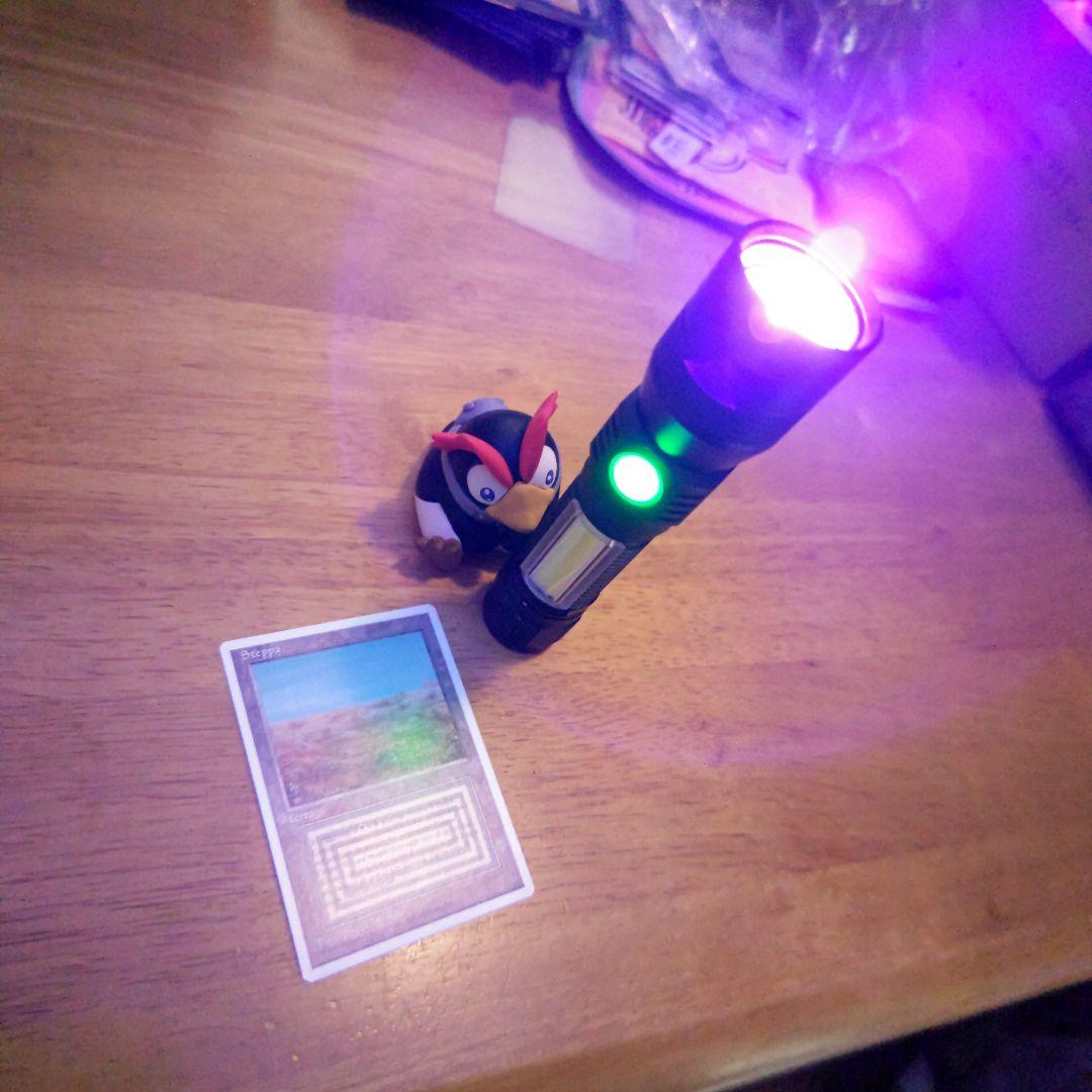 【断捨離】美品 scrubland イタリア語