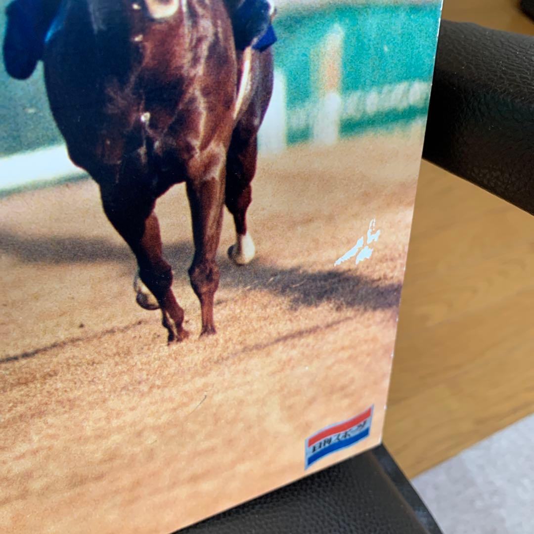 オグリキャップ　パネル　武豊　2枚セット　有馬記念　ジャパンカップ　競馬