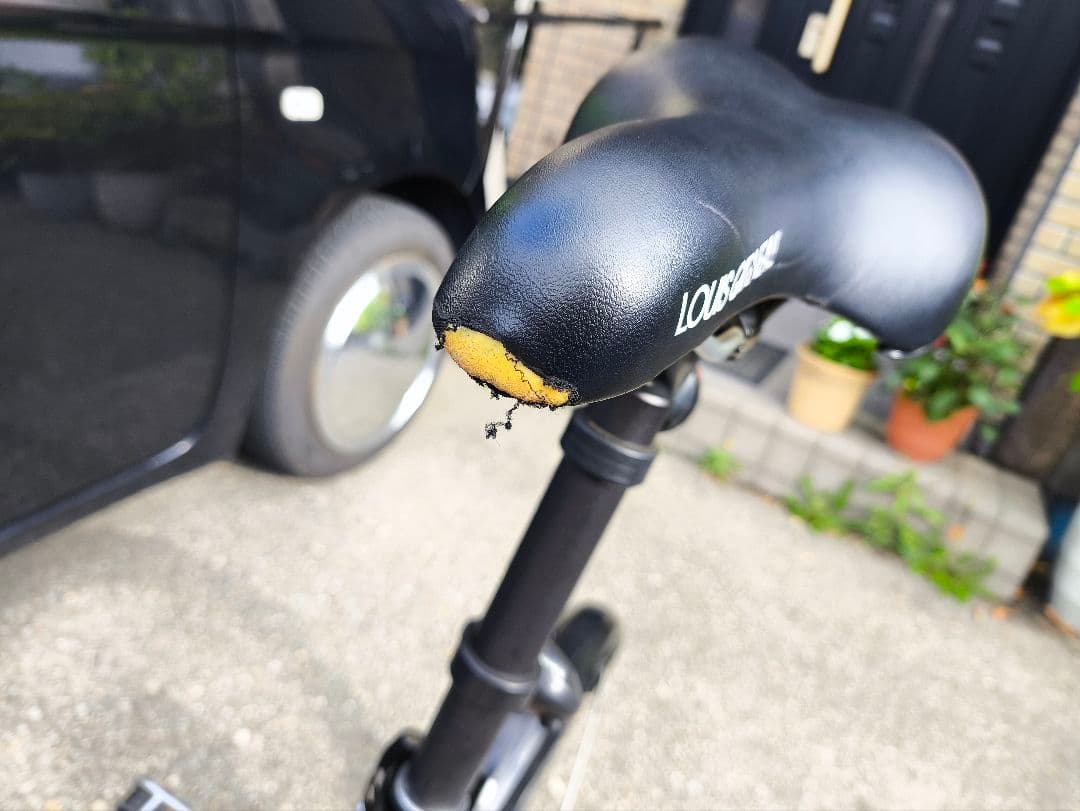 最終値下げ LOUIS GARNEAU ミニベロ SKUBY スクービー 自転車