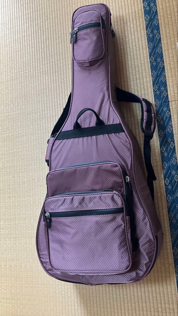 た*ん様 Gretsch electromatic ソフトケース 弦付き