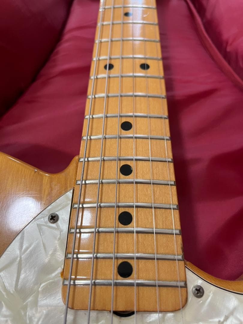 かにさんデラックス　1976年Aria Pro II TE-500N