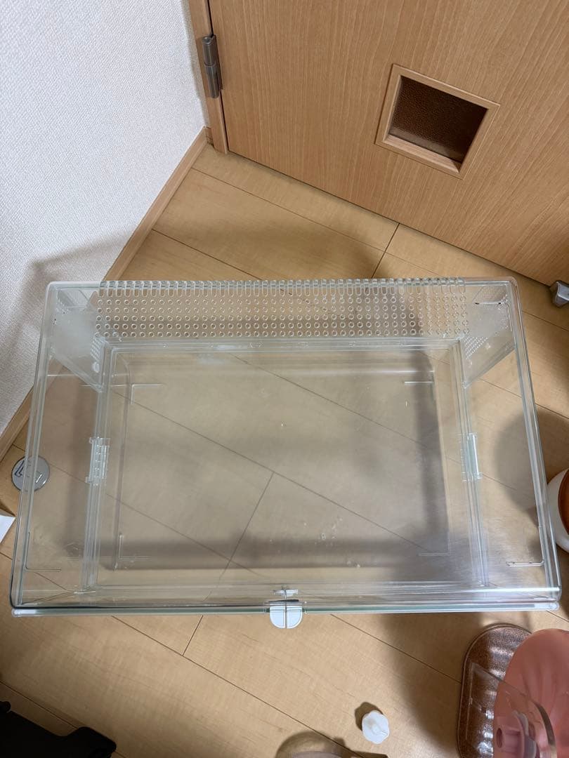 GEX グラスハーモニー600 BUCATSTATEセット