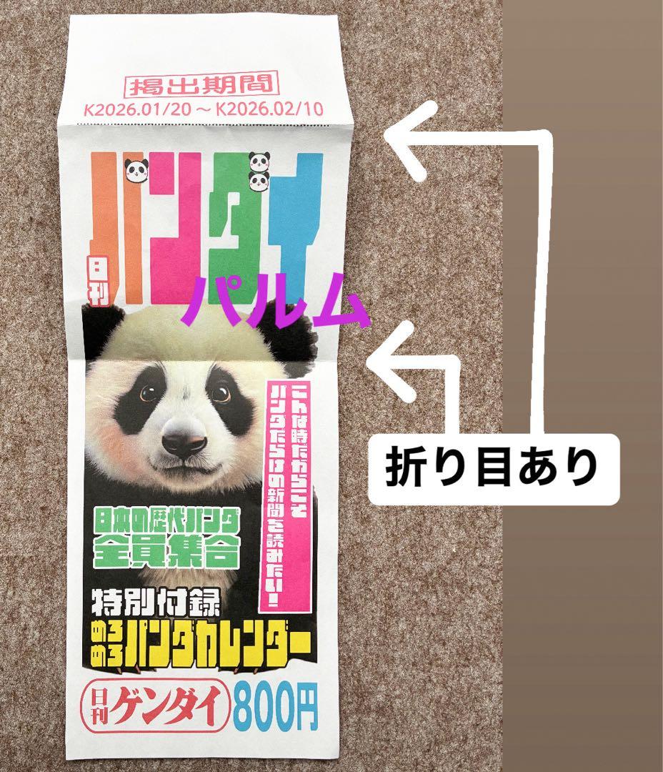 【折らずに梱包】日刊 パンダイ【5部】店頭Pop【1枚】ゲンダイ 新聞
