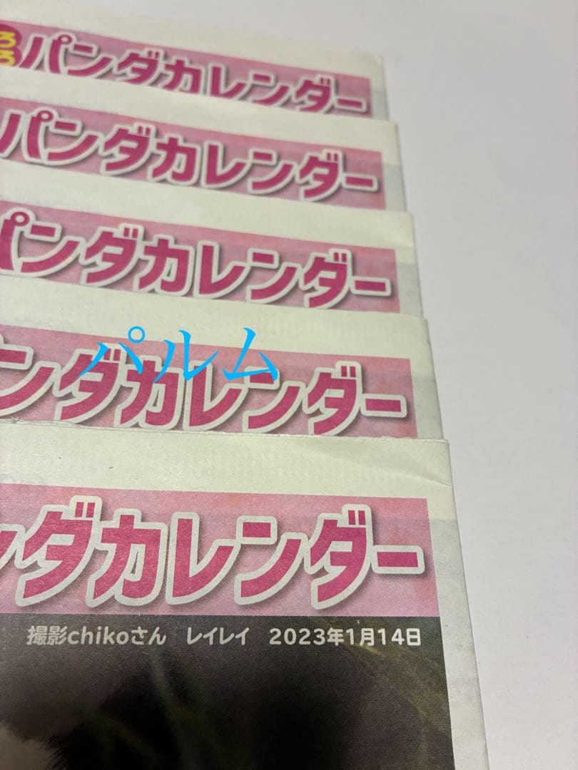 【折らずに梱包】日刊 パンダイ【5部】店頭Pop【1枚】ゲンダイ 新聞