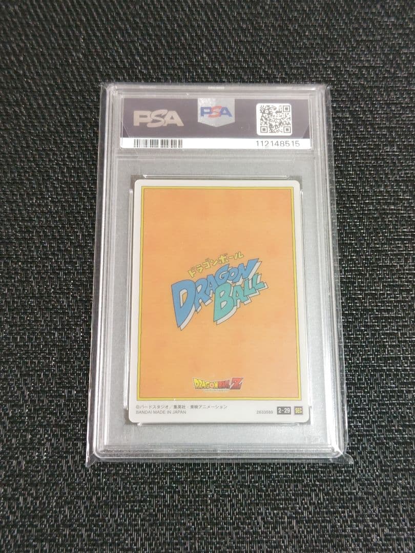 【PSA10】ドラゴンボール　イタジャガ　2-29　孫悟空