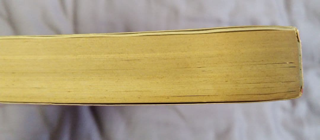 【希少】 高中正義 ギター全曲集