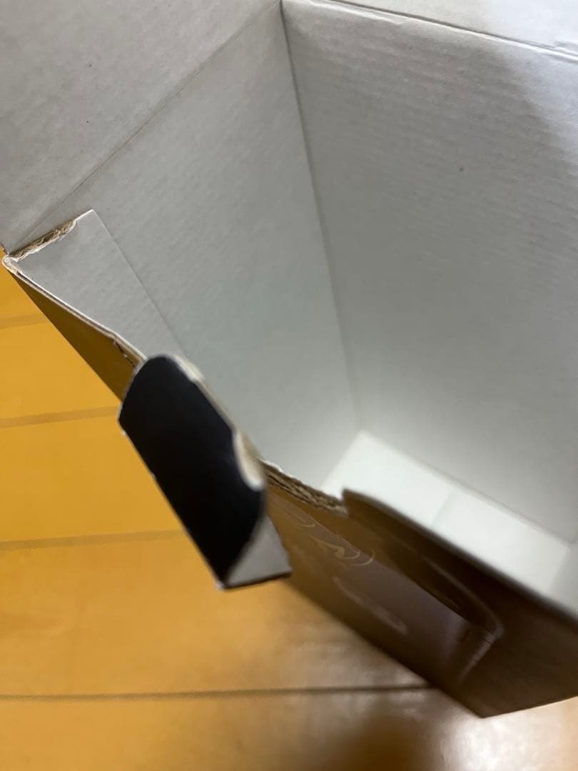 Nintendo Switch Lite ディアルガ・パルキア ②