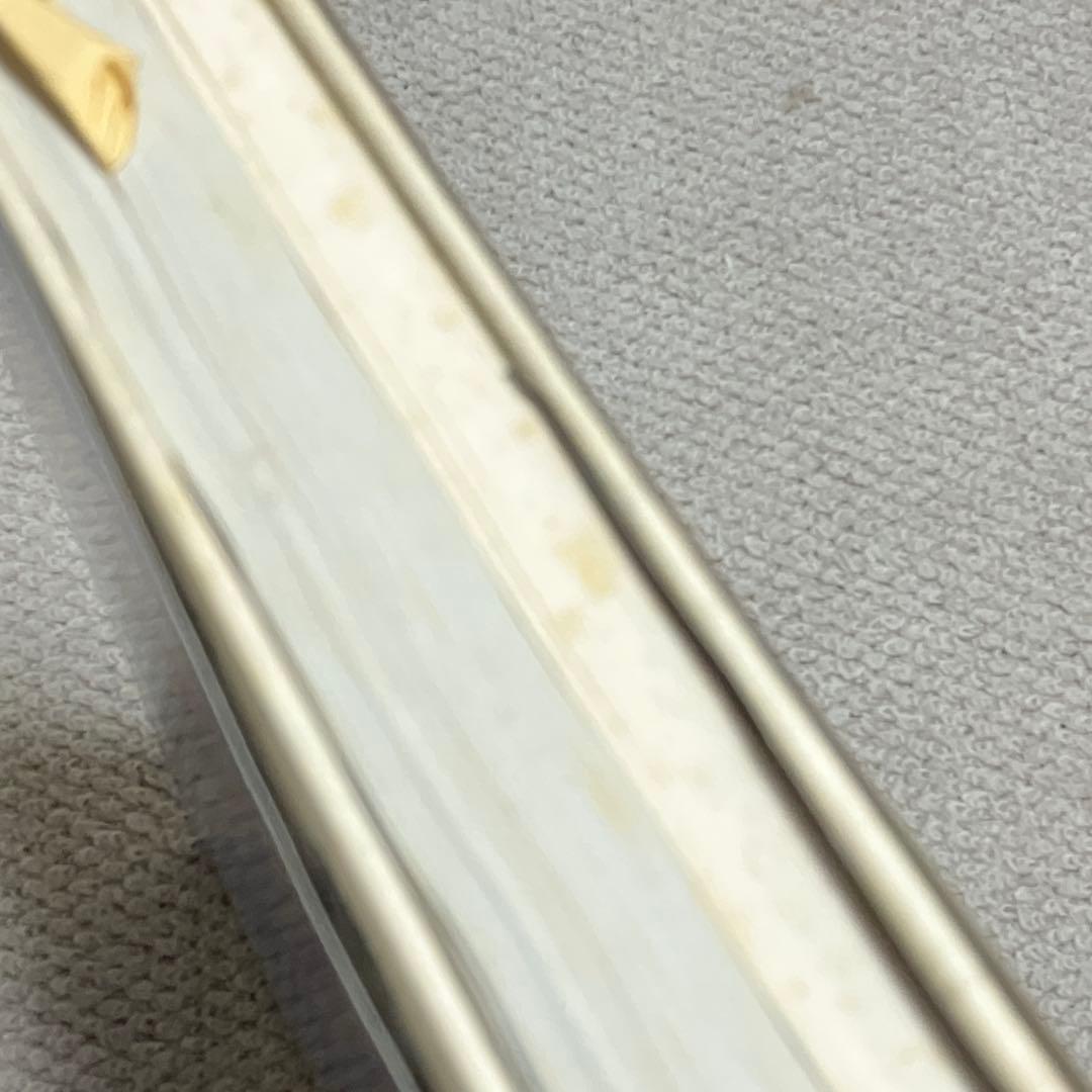 図鑑　日本のワシタカ類