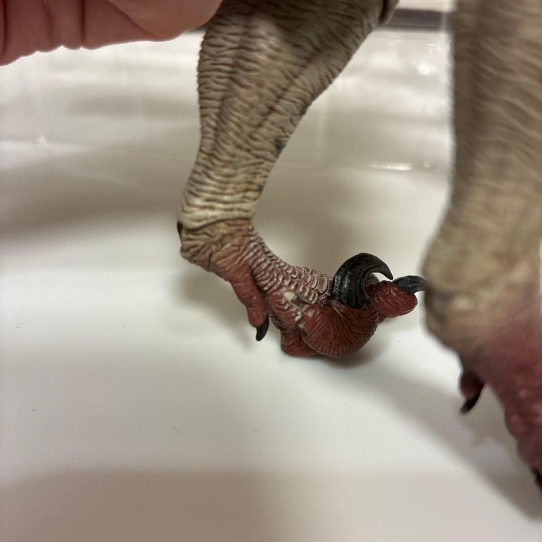 本心楠改　ヴェロキラプトル　雄　雌