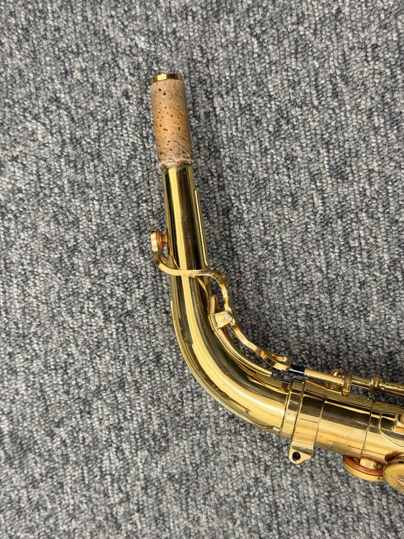 Yanagisawa ヤナギサワ A-WO10 アルトサックス