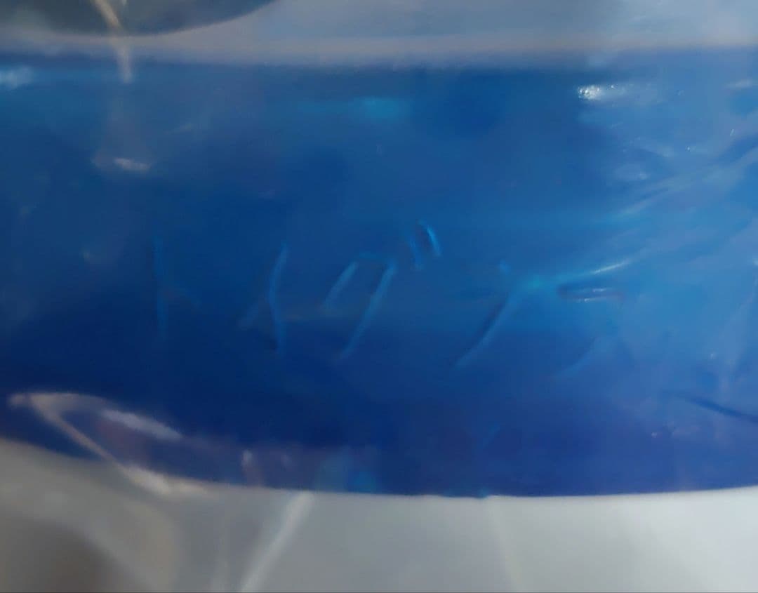 ウルトラマン 怪獣大画報 火星怪獣/ナメゴン　蓄光　トイグラフ