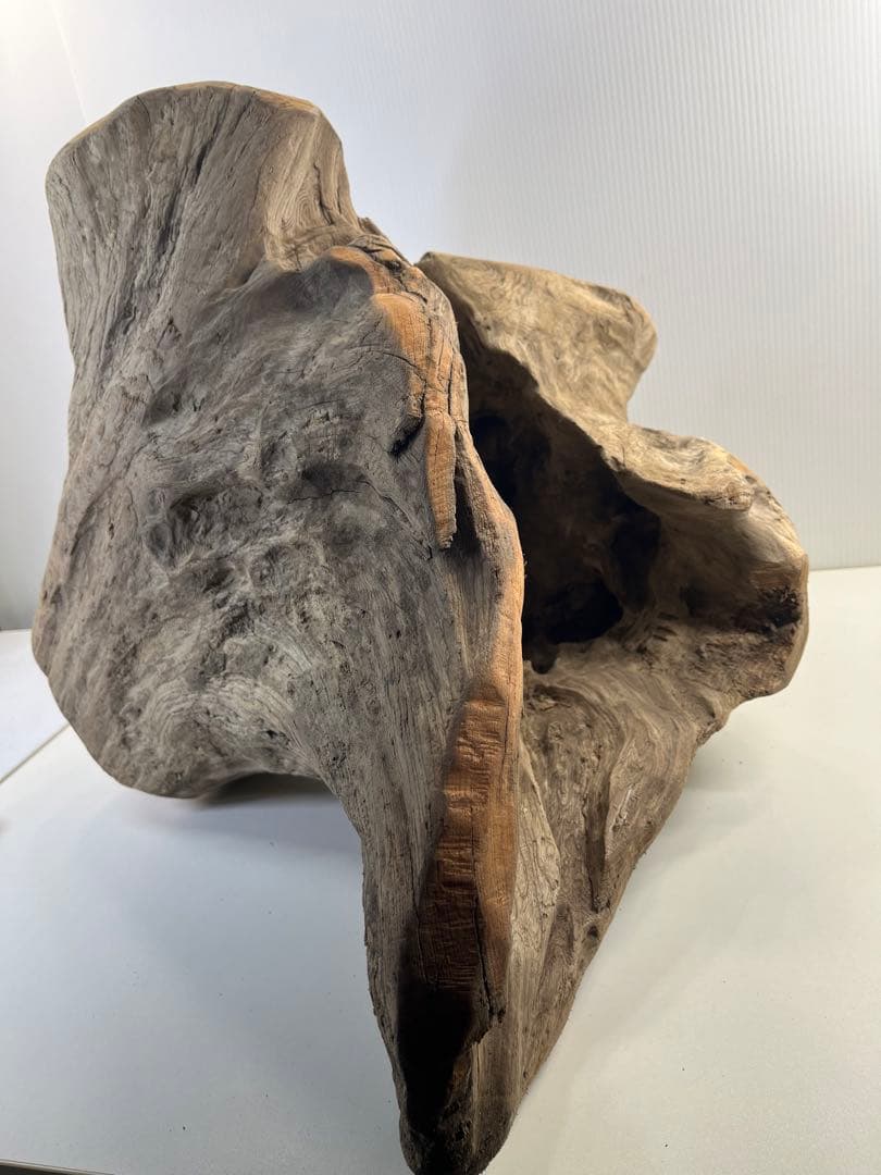 k64大型流木 アク抜き済み 爬虫類シェルター レイアウト用 登り木 インテリア