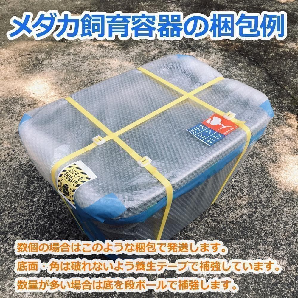 【限定特価】メダカ飼育ケース 36㍑x4個（4色あり）大雨対策付 金魚飼育容器