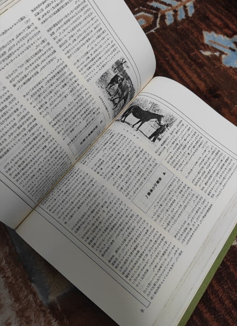 優駿 縮刷版 昭53